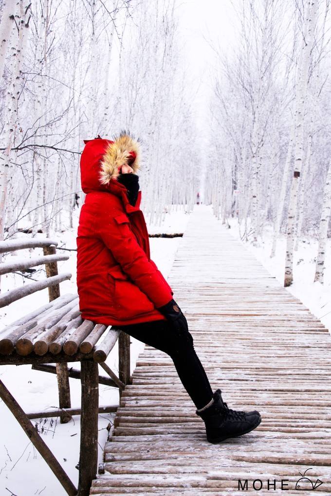 这个冬天，和爱的人坐一次雪国列车去漠河，感受北国的浪漫️ 